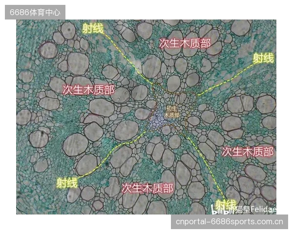 基于合成生物学制造的精准营养补充剂，将在2027年开始根据运动员的实时代谢数据进行动态调整